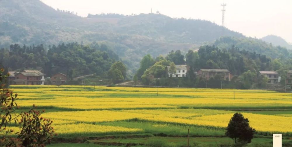 株洲赏花地图出炉 乡村旅游节在醴陵拉开帷幕