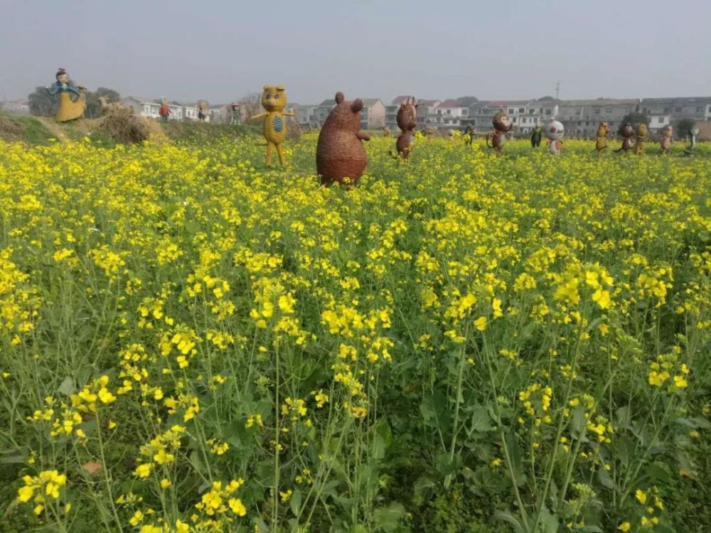 株洲赏花地图出炉 乡村旅游节在醴陵拉开帷幕