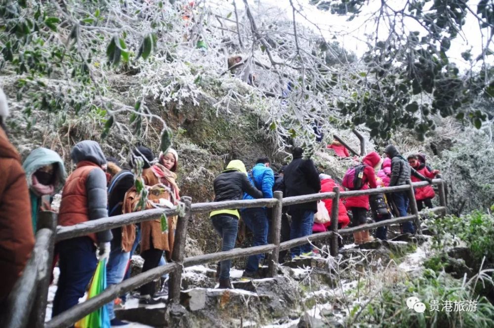 春季出游好去处,去贵港平天山国家森林公园吸氧!