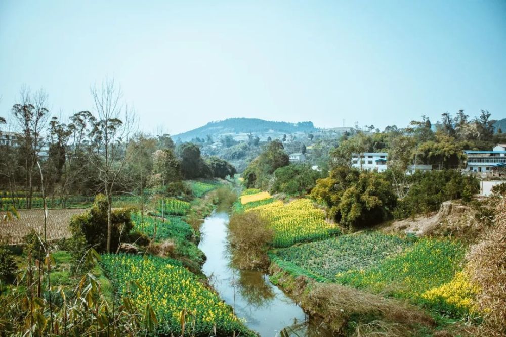 资中这座建在山顶的小镇,竟有人世代说着广东