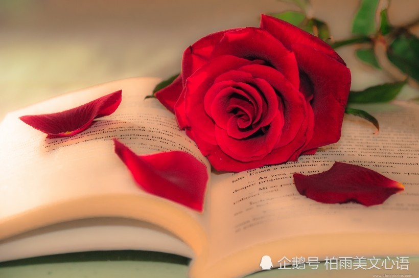 心,别再疼了,好吗?