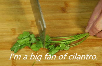 Https Encrypted Tbn0 Gstatic Com Images Q Tbn 3aand9gcs U6dpg2knh5otg7jjz9i005sn2arbkcoxma Usqp Cau