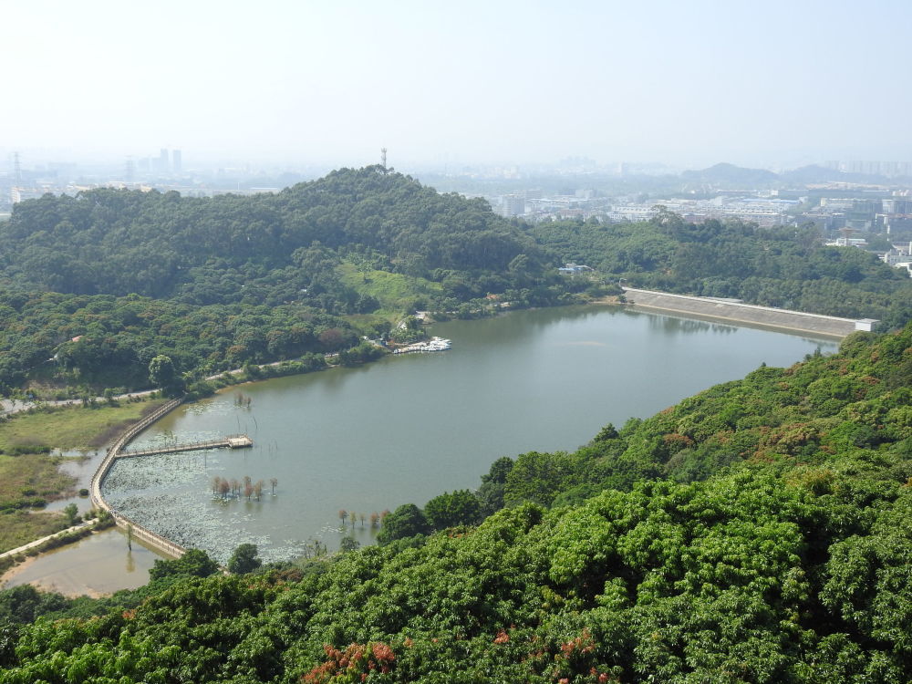 东莞清溪大王山森林公园之神鹿湖风光,这里美不胜收,欢迎来游玩