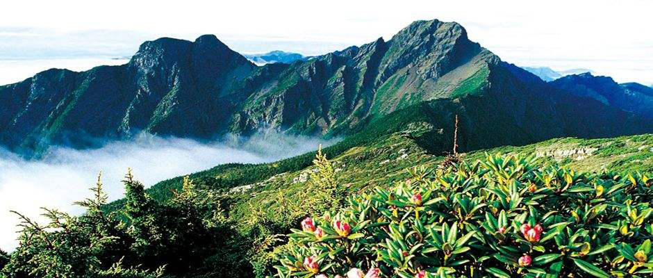 日出,云海,晚霞,森林与高山铁路,合称为阿里山五奇.