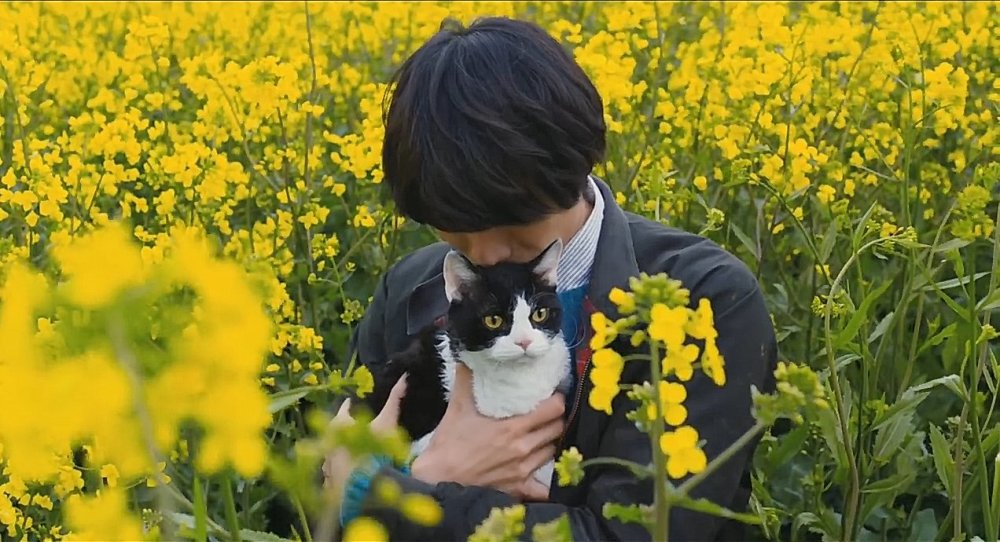 èռǡر ߮xϣΪڰè