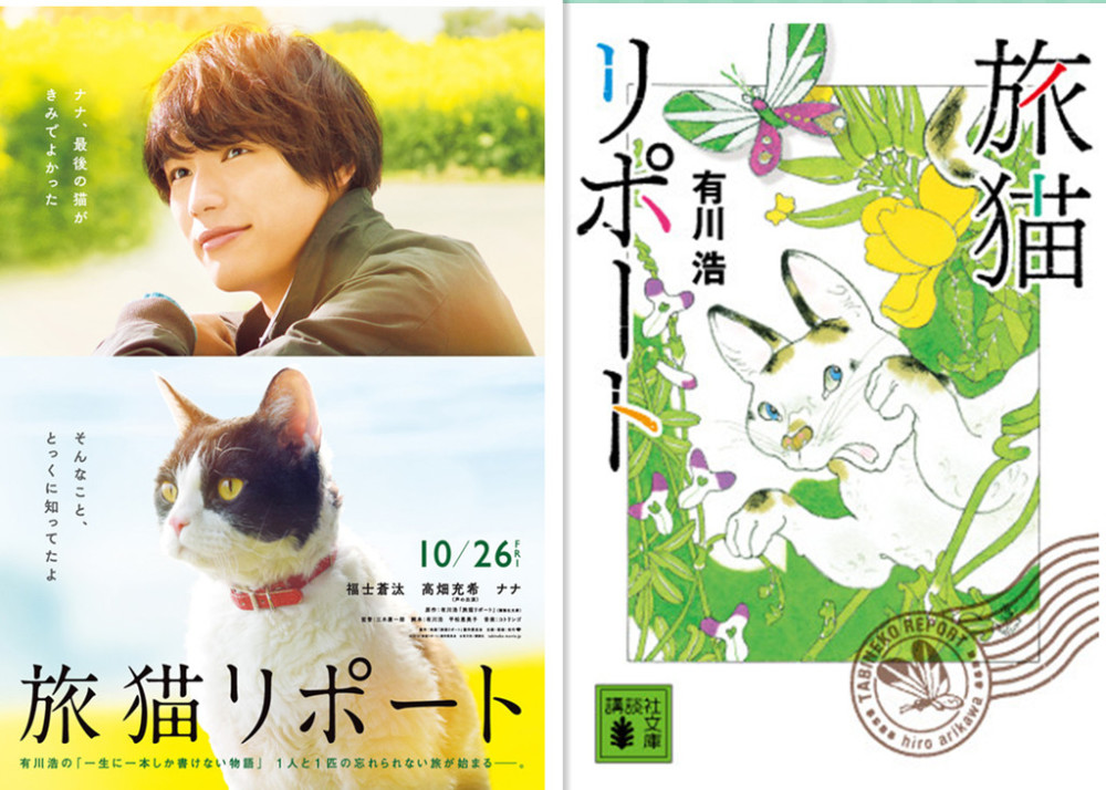 èռǡر ߮xϣΪڰè