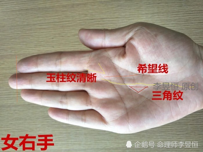 女人手相:这2条线和三角纹同时出现,富贵花开,事业有成!