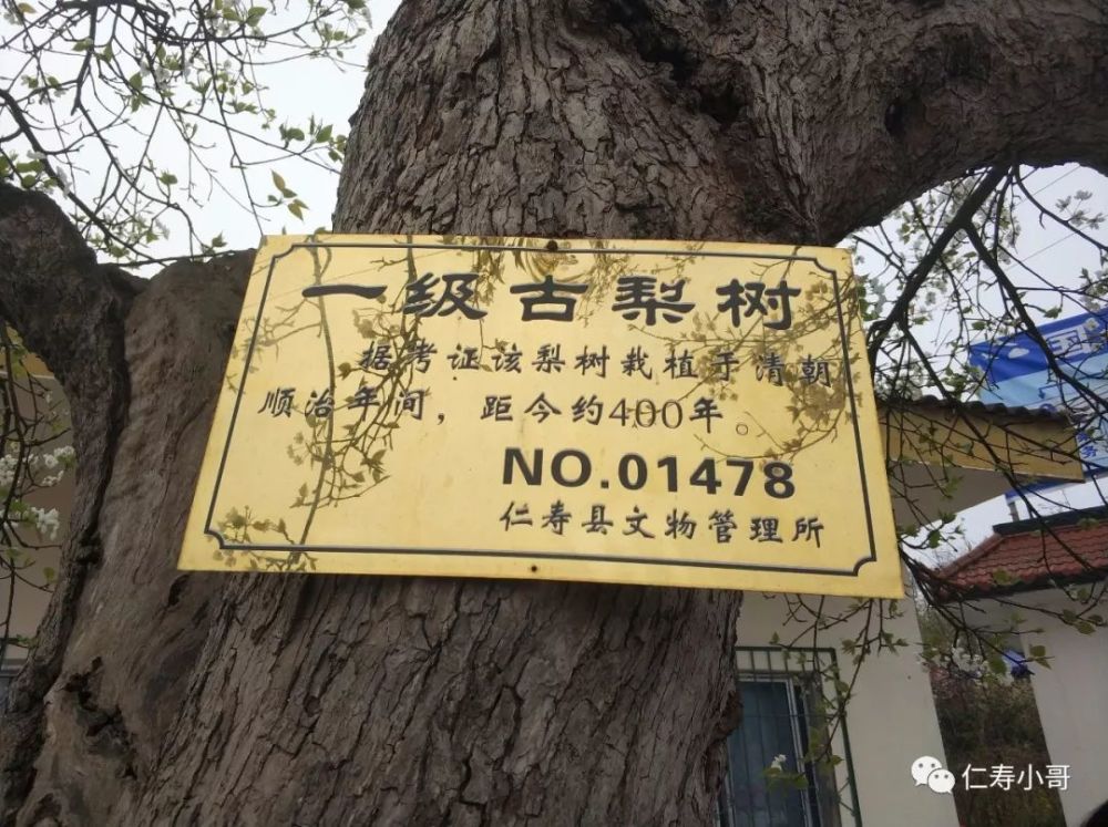 曹家镇人口_新化县曹家镇(2)