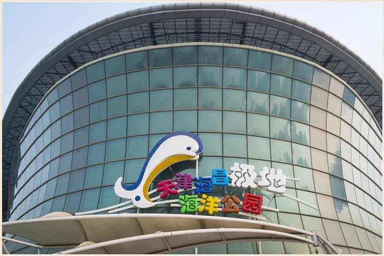 一个人去塘沽海洋馆