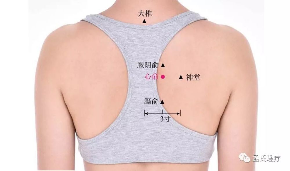 所以许多的朋友们对于心俞穴的具体的位置不是非常的清楚,所以我们就