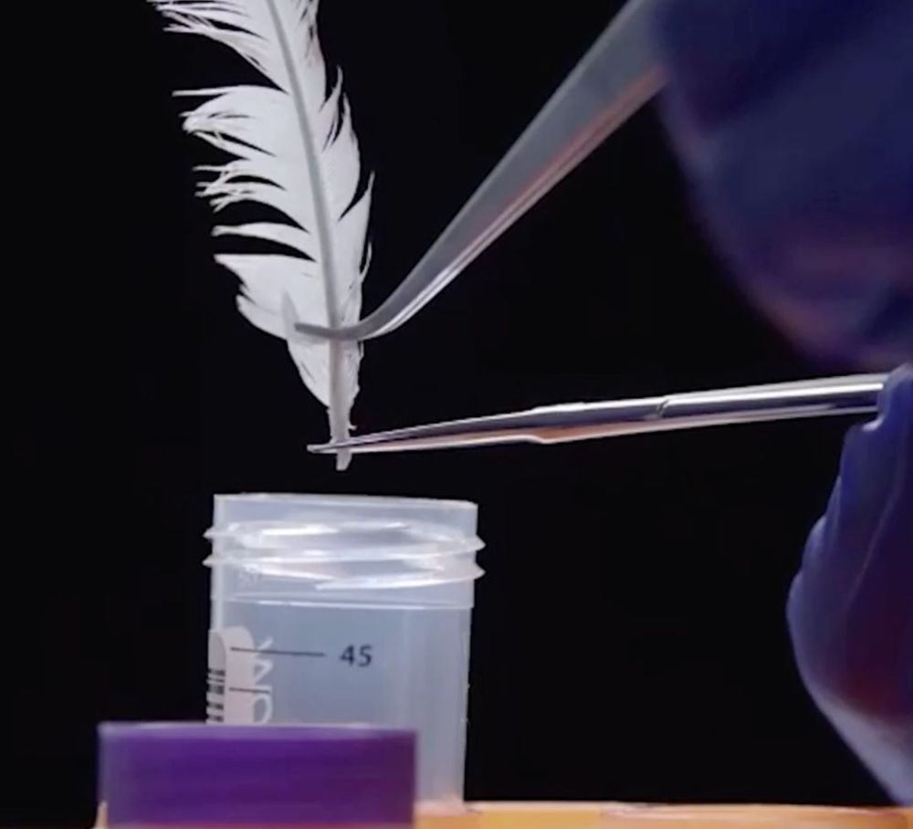 投入市场,科学家脑洞大开:未来是不是可以吃人