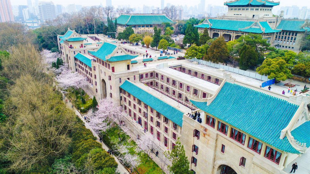 樱花,武汉大学