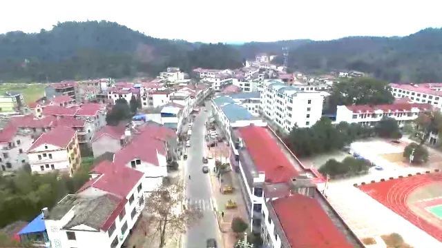 泰和总人口_泰和乌鸡