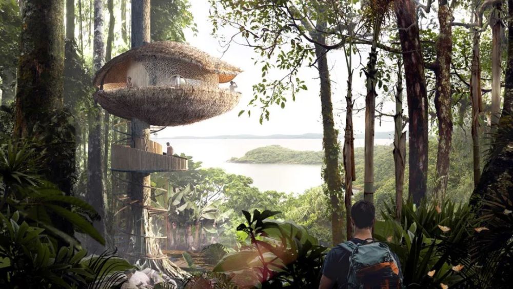 全球10 个最有创意的树屋,承包了林间最舒服的"葛优躺