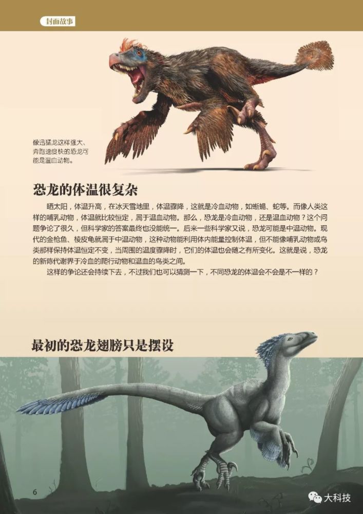 霸王龙和鸡是亲戚?还有哪些意想不到的恐龙秘事?
