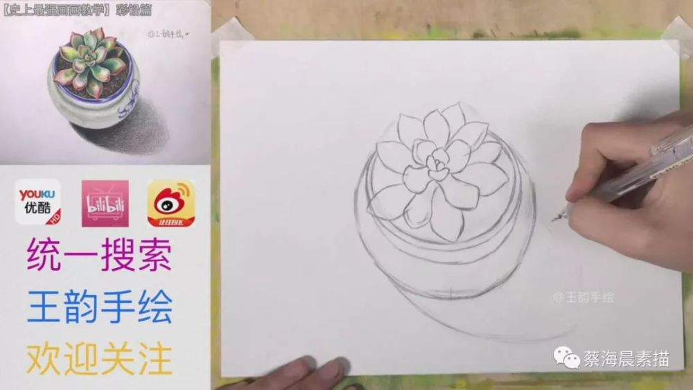 彩铅篇-第7集多肉素描的彩铅画法,蔡海晨植物华为p2020pro实用技巧图片