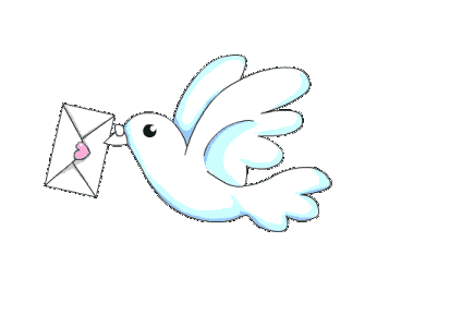 莲都239个教师岗位为您准备好了,速来哦!