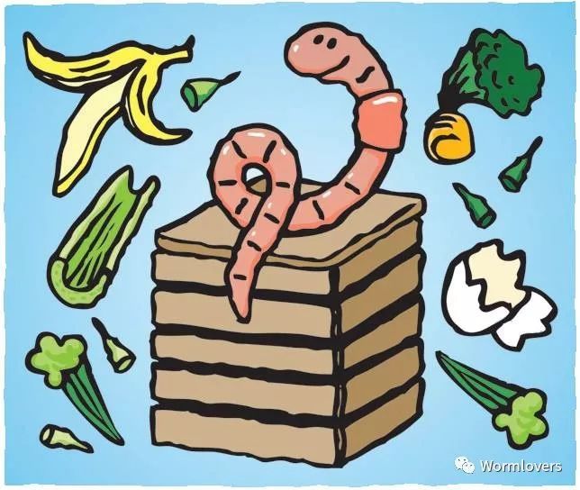 也是wormlovers的第一篇中文推文,旨在普及家庭蚯蚓堆肥的基本原理