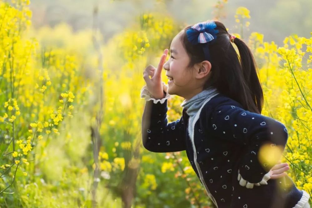 油菜花季,行摄徽州