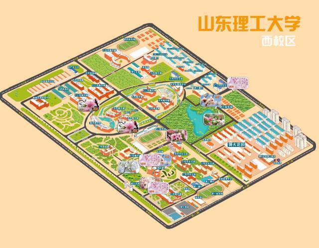 山东理工大学的这些花又要开了!这份赏花地图