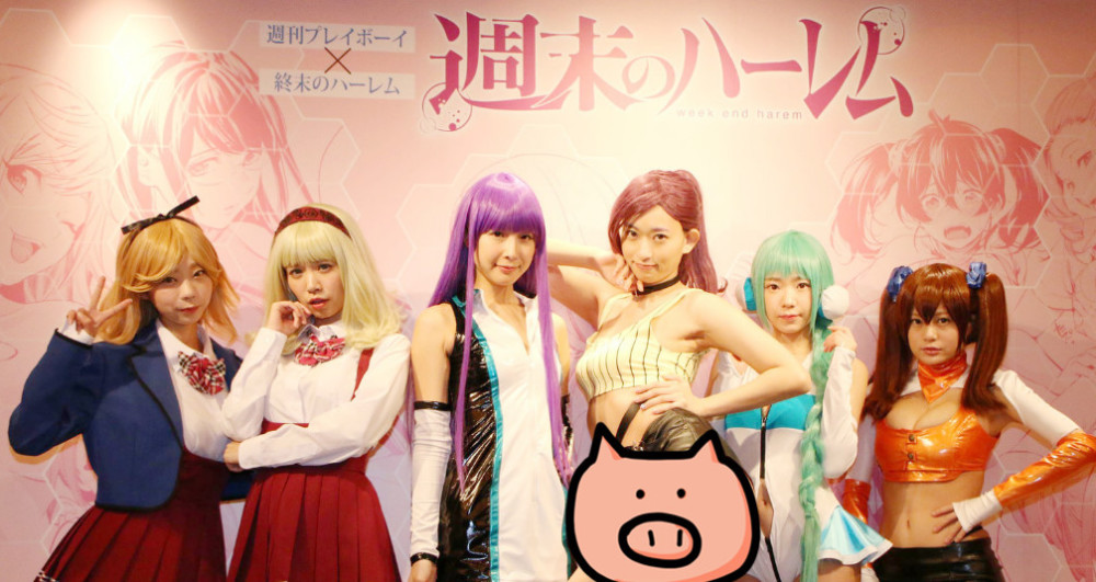 ĩĺ󹬡鷢ۻ ӢСCOS