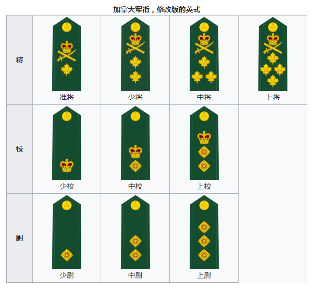 没有"大红大紫",没有"衣冠禽兽",现代军官如何体现等级?