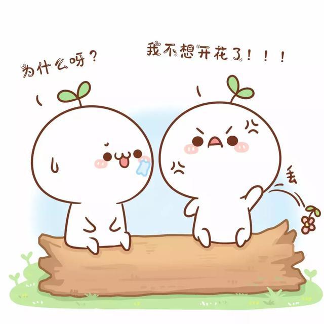 最近,团子有点烦心事
