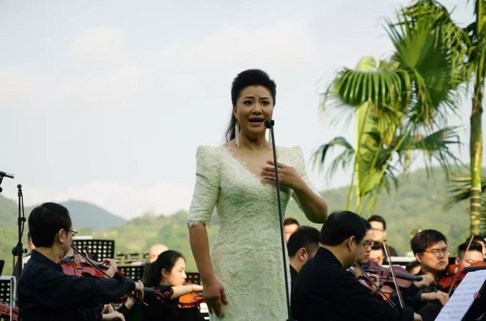 歌唱家  王丽达