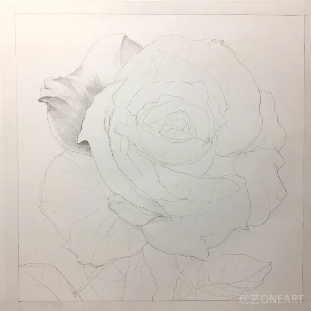 超详细!7分钟教你学会素描玫瑰