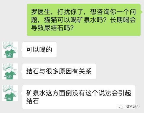 天天喝矿泉水 我家猫患了尿结石 看点快报
