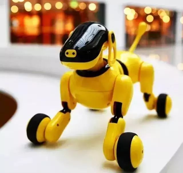 三登央视,这只2018春晚明星狗,唱歌、跳舞、编