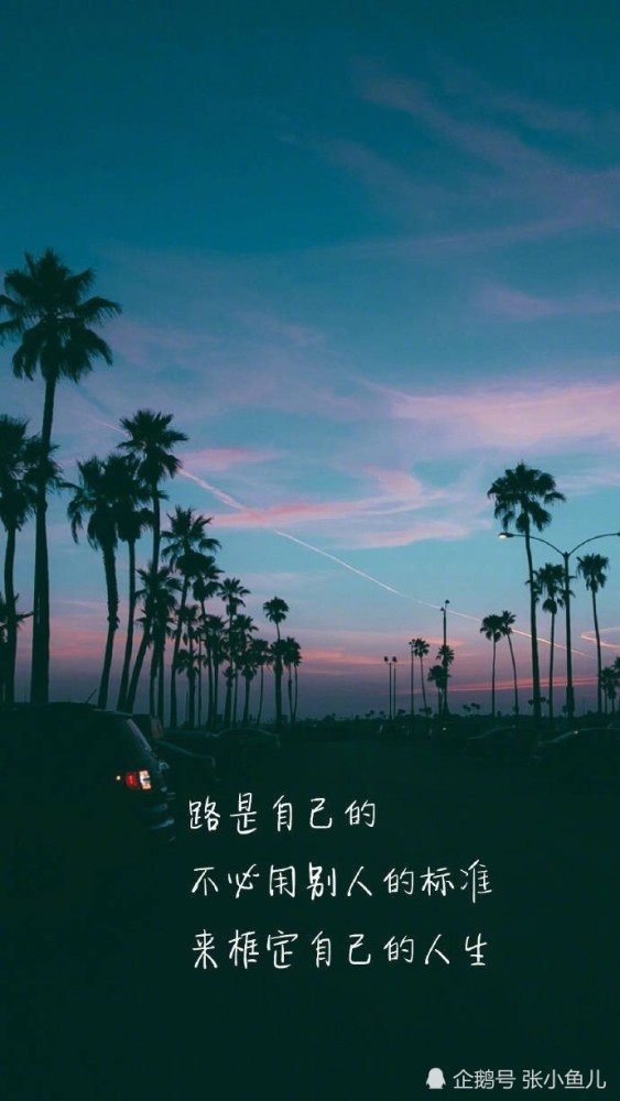 最美不过滂沱大雨中深情的表白,最伤不过是两道背向而行的身影