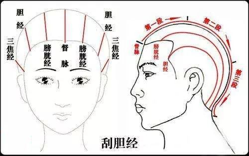 头部刮痧在植物养发中竟有这么多奇效-天天快报