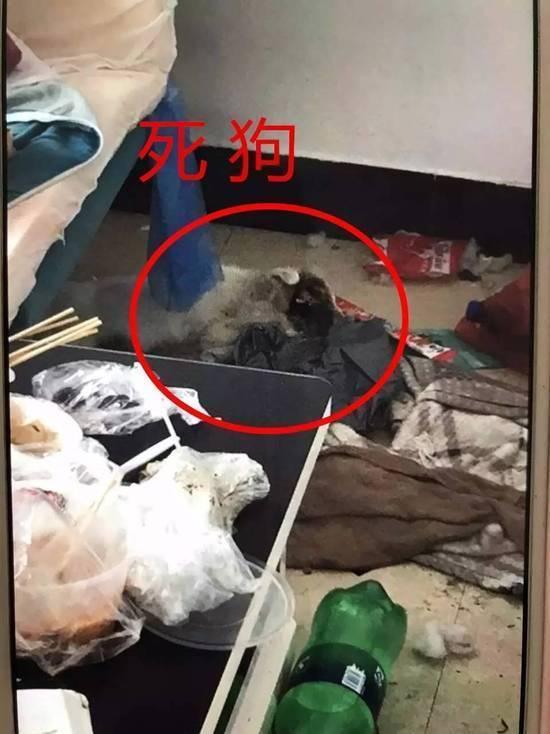 18岁粪便退租后,女生打开门:满屋房东!三角短发少女图片