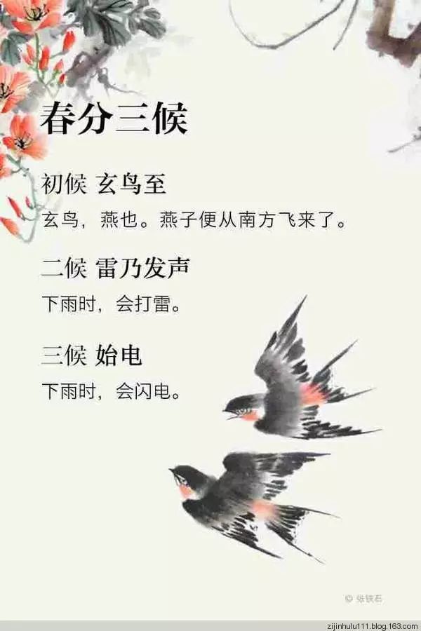 春分三候所代表的花信为: "一候海棠,二候梨花,三候木技.