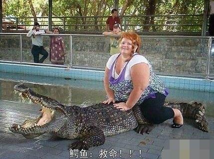 企鹅娘吐槽：你曾经是一个中二少年吗？