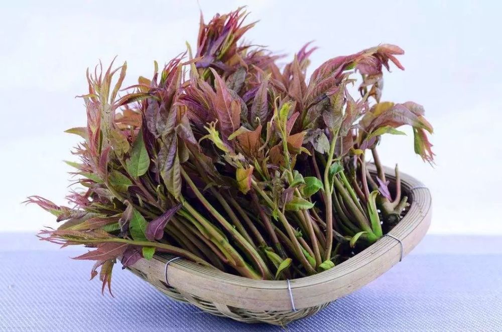 开春挖的野菜 有人吃一口就倒 看点快报