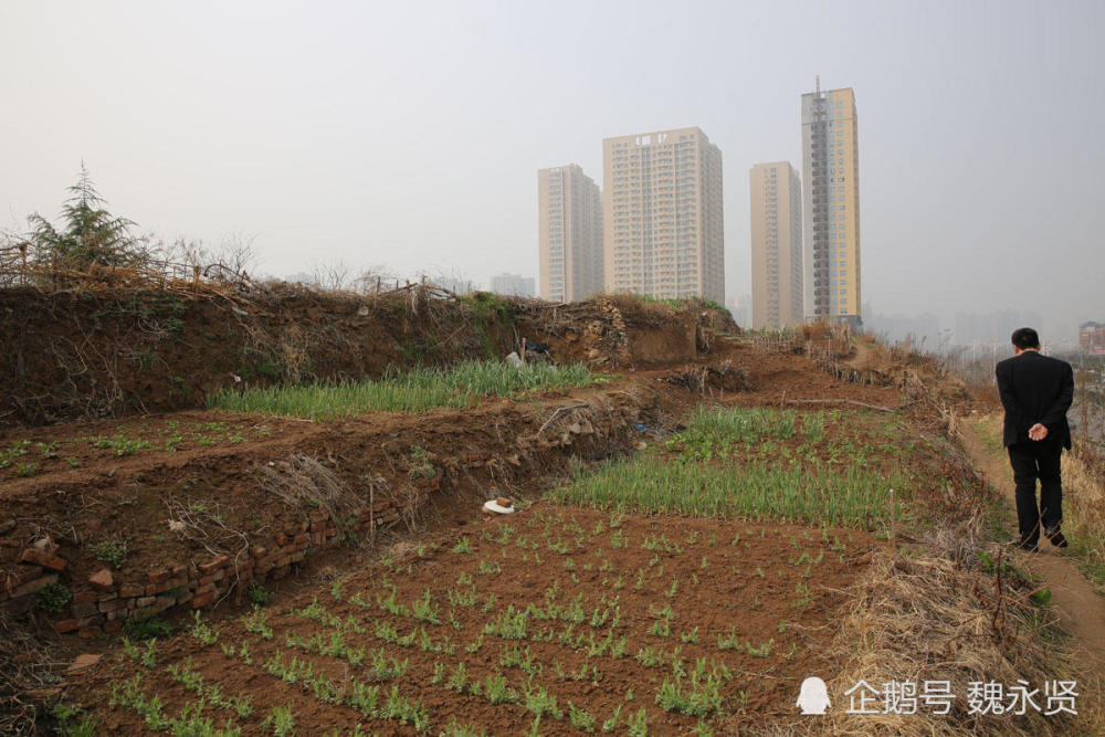 城市未开发土地,开荒种菜,大爷大妈