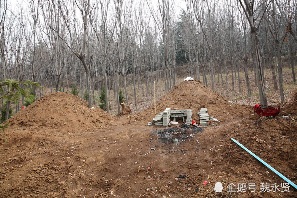 秦岭植物园,坟墓,春游,踏青