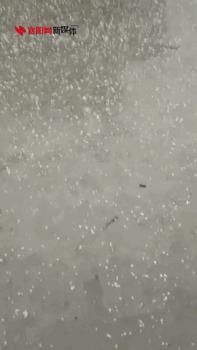 最爱播报天气的小编 也是被啪啪打脸啊 是的,你没看错 朋友圈的冰雹