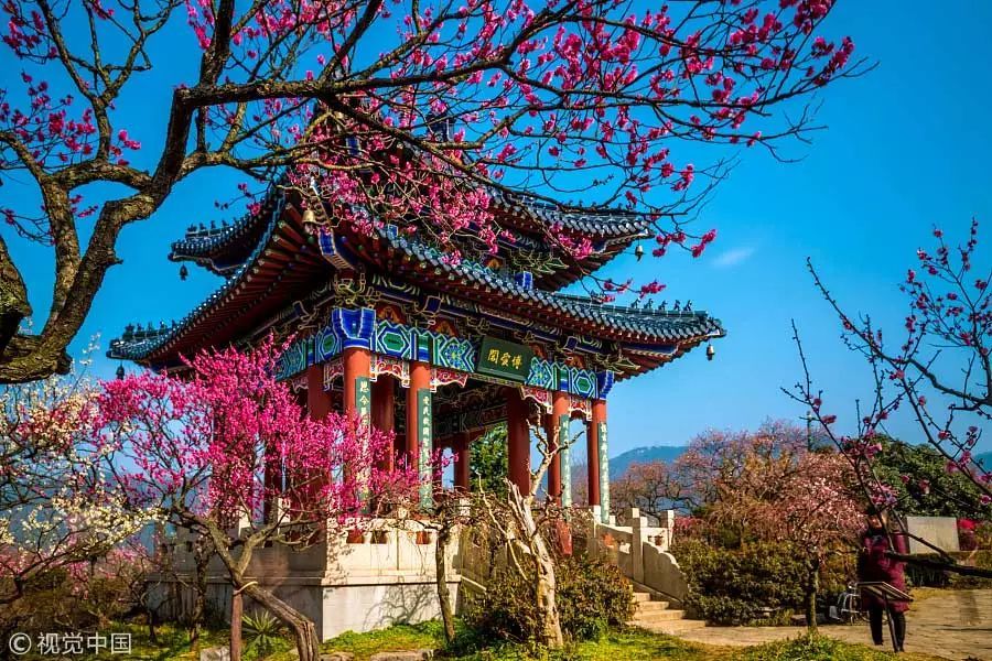 季节 | 春天开的木棉花、樱花、海棠花…哪个才