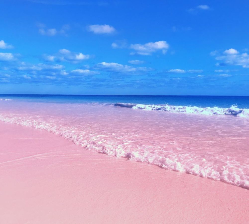 红海滩,粉色沙滩,少女心
