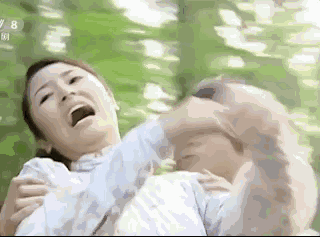 壁纸 动物 狗 狗狗 320_237 gif 动态图 动图