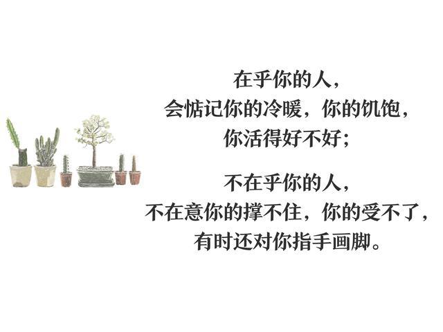 当真心实意遇到虚情假意, 一片真情面对一张敷衍的面具, 当你的好换