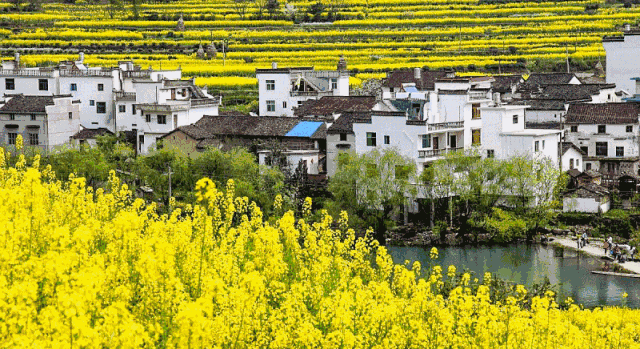 婺源人口少_婺源油菜花图片