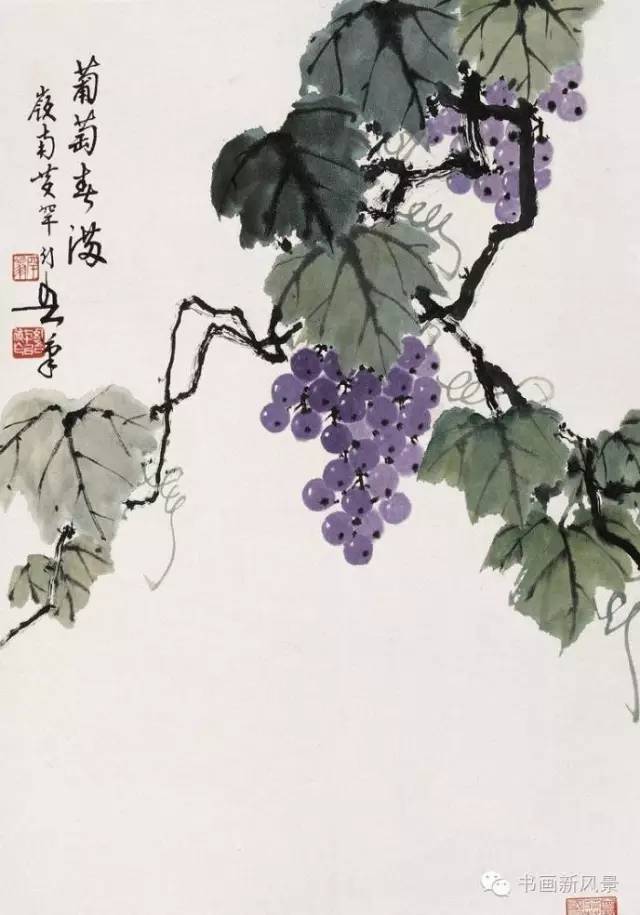他把葡萄画成了美少女!