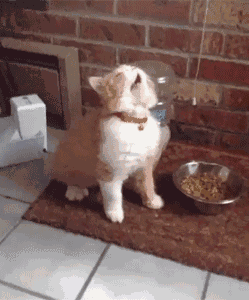 清洗时, 当双手再次碰触他人或其他东西时, 就会再次传播细菌及病毒