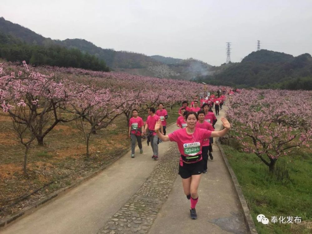 2018奉化桃花马拉松激情开跑