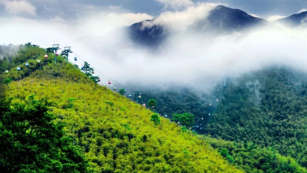 宜兴竹海风景区