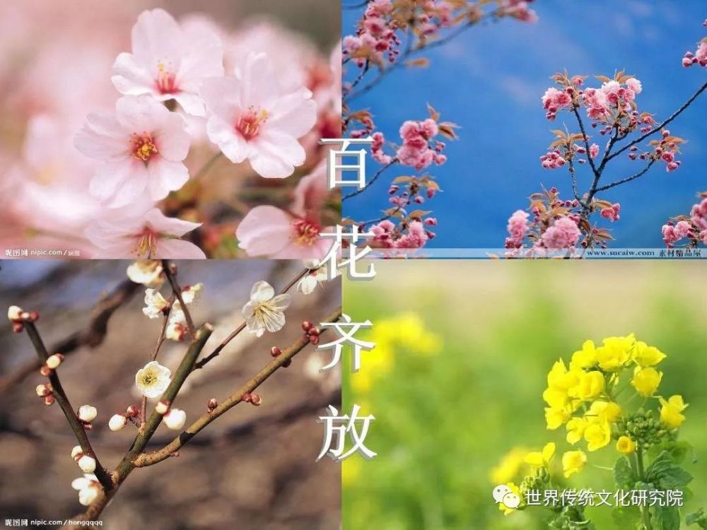 祝福金盏醉,紫气绕阁东
